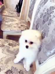 -小红楼美甲美容中心