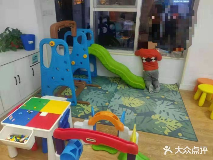 金色雨林学习力培优(专注力提升)图片