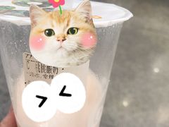 -CoCo都可(天河又一城店)