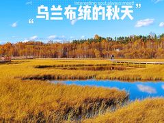 -乌兰布统草原