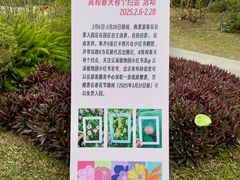 -云溪植物园