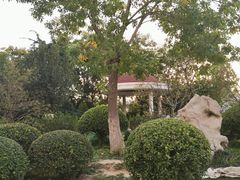 -天津医科大学肿瘤医院(本部院区)