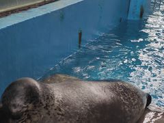 -成都浩海立方海洋公园