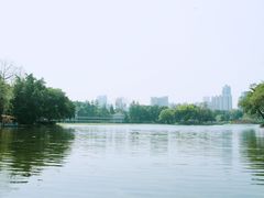 -荔湾湖公园