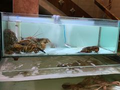 -樱之盛宴·蟹料理海鲜自助(前进大街店)
