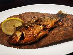 -滇野云南野生菌餐厅(陕西南路店)