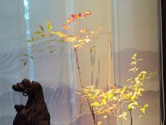 -王府茶楼茶宴·创意菜(朝阳公园店)