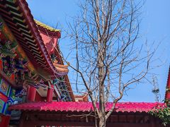-长沙黑麋峰国家森林公园