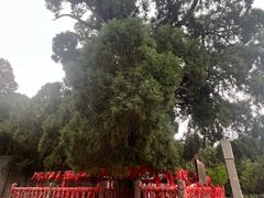 -四门塔风景区