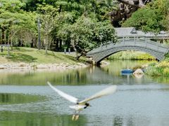 -四海公园(南山区)