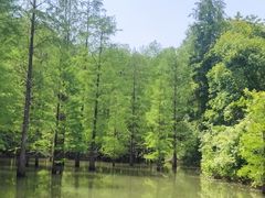 -青龙山国家森林公园