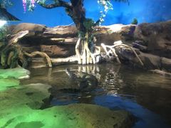 -沙沙哗啦海洋馆(华宇百花谷店)