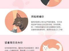 -艾贝尔宠物诊疗