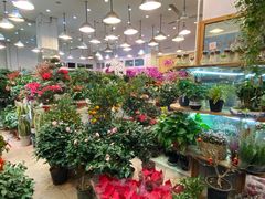 -双季花艺园艺市场(浦东店)