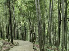 -石台牯牛降景区