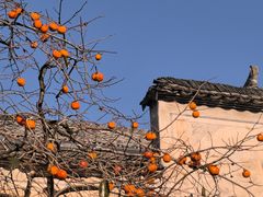-塔川景区