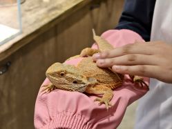 -Zoolung Zoolung动物主题公园(海信广场店)