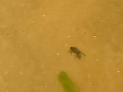 -泽成·冰煮羊(乌兰察布红楼店)