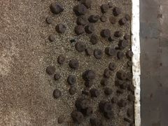 -元代水闸遗址博物馆