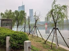 -天鹅湖体育公园