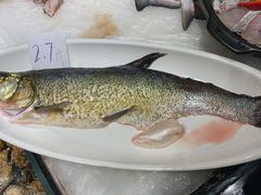 闽江白刀鱼-紫阳海鲜楼·传承闽味(长乐路总店)