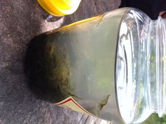 iphone_upload_pic-新江湾城公园