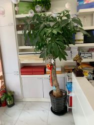 -奥丽维娅美容养生会所