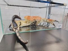 -燕莎友谊商城(亮马桥店)