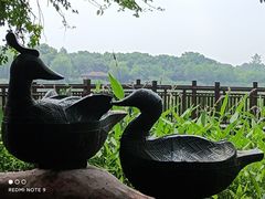 -东湖落雁景区