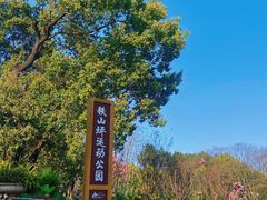 -铁山坪森林公园