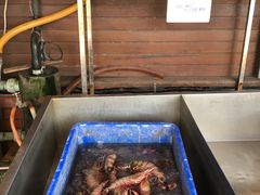 -真浪花园海鲜餐馆