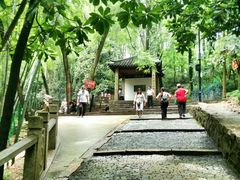 -灵岩山风景区