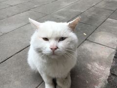 -圆宝台湾小吃(迎津街店)