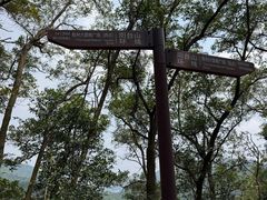 -阳台山自然风景区