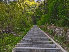 -西安祥峪森林公园
