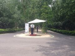 -合肥滨湖国家森林公园