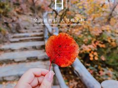 -周口店坡峰岭风景区