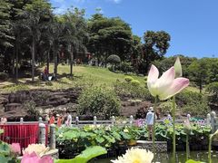 -广州莲花山旅游区