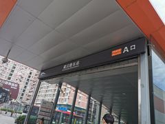 -御梁坊红糖馒头