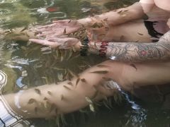 -龙达温泉生态城