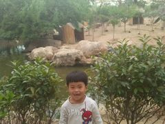 -临沂动植物园
