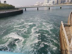 -五缘湾湿地公园