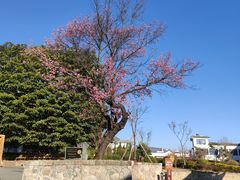 -蝴蝶泉公园