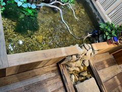 -邈墨茶馆(大兜路1号店)