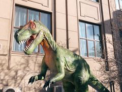 -国家自然博物馆