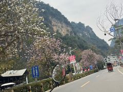 -明仕田园