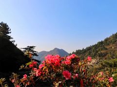 -木兰云雾山