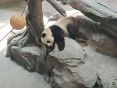 -宁波野生动物园