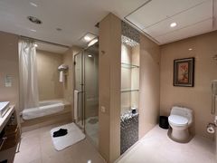 -电谷雅阁国际大酒店