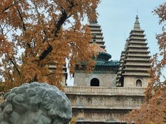 -北京石刻艺术博物馆(五塔寺)